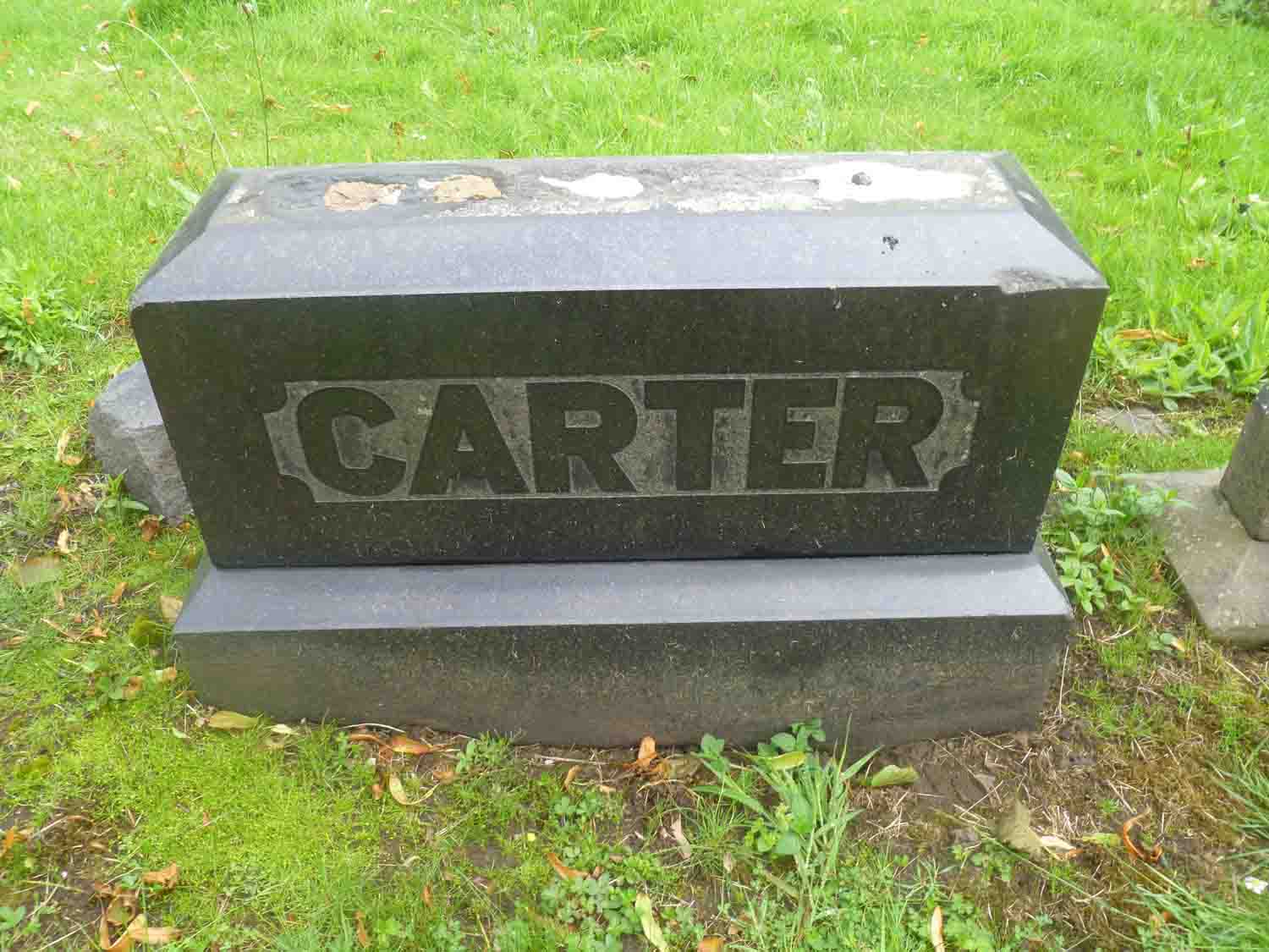 Carter (1 421)